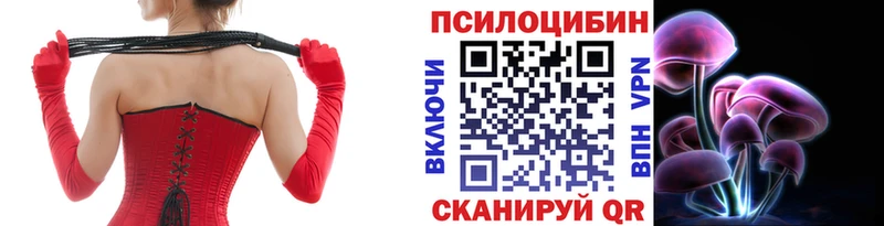 Галлюциногенные грибы Magic Shrooms  где купить наркотик  Пролетарск 